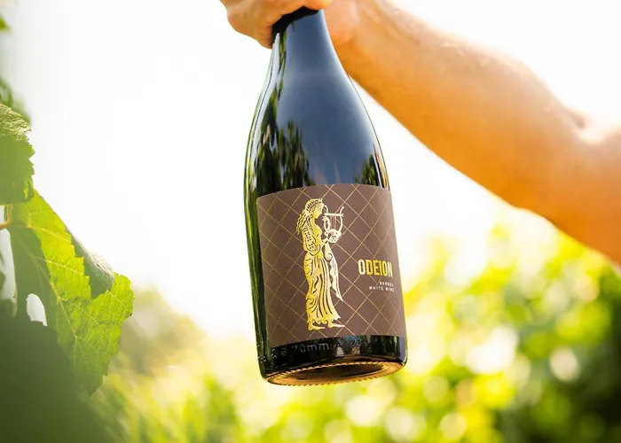 Resort & Winery Bosco De Medici