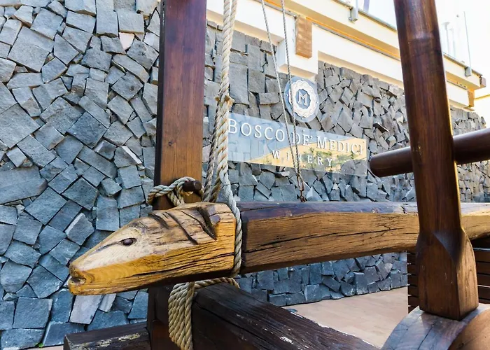 Resort & Winery Bosco De Medici 4* Pompei