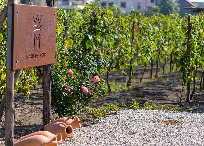 Resort & Winery Bosco De Medici Pompei