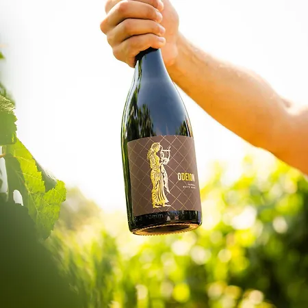 Resort & Winery Bosco De Medici
