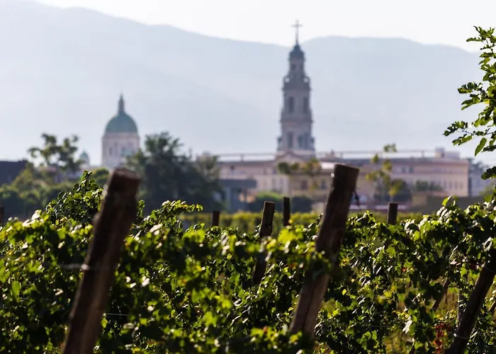 Ξενοδοχείο & Winery Bosco De Medici Πομπηία