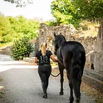 & Winery Bosco De Medici Hotel 4*