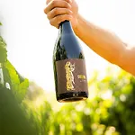 & Winery Bosco De Medici