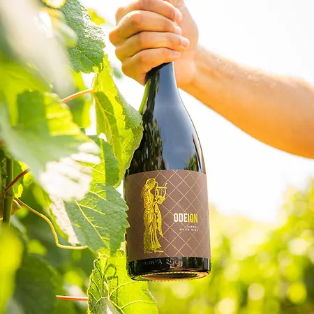 Resort & Winery Bosco De Medici 4* Pompei