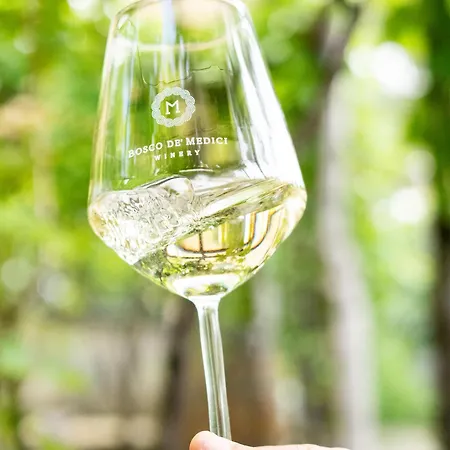 Hotel & Winery Bosco De Medici