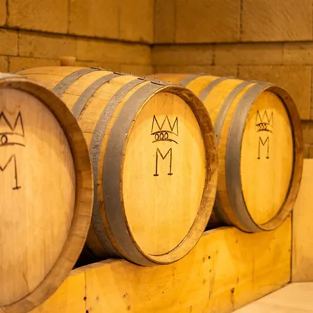 Resort & Winery Bosco De Medici 4*