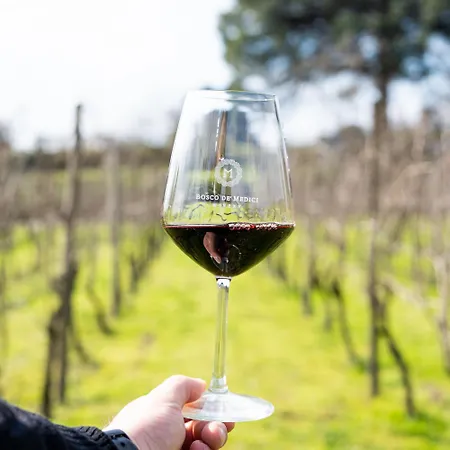 Resort & Winery Bosco De Medici 4*