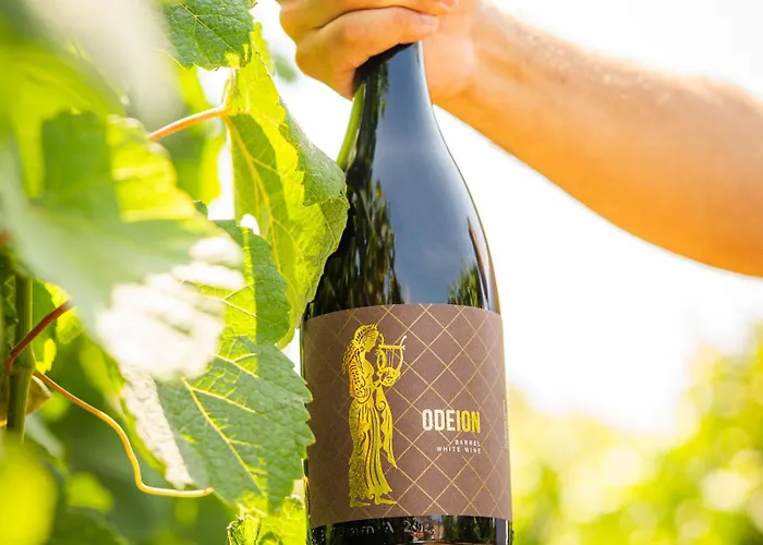 & Winery Bosco De Medici 4* بومبيي