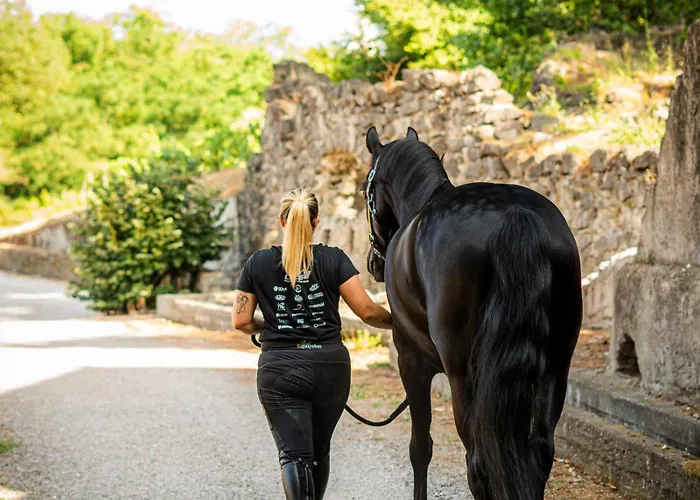 & Winery Bosco De Medici فندق 4*