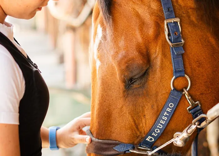 & Winery Bosco De Medici